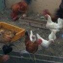 일재농장 이미지