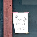 우경약국 | 끝나지 않는 11월