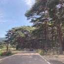 쌀문화관 | 청도 운문사 주차장 입장료 역사문화관 방문 후기