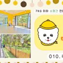 멜리애견유치원 이미지