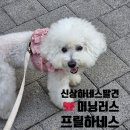 기가디자인주