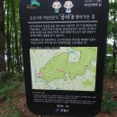 이말산(133m) 서울둘레길-구름정원길 이미지