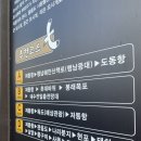 [신행]울릉도로 떠난 신혼여행_울릉도1일차(행남등대-행남해안산책로-거북바위-남서일몰전망대)