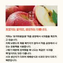 옹달샘사과농장