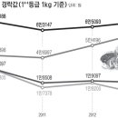 한우 부위별 가격 양극화 ‘심화’ 이미지