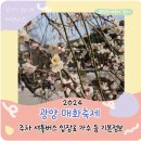 2024 신춘음악회 | 광양 매화축제 기본정보 2024년 가수 입장료 주차 셔틀버스 등