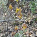 봄에새싹 이미지