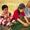 멍석 민박 이미지