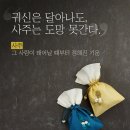 4월14일 일요일 사주 팔자로 애인 친구 동반자를 결정 이미지