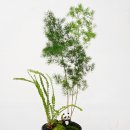 오정구 옥산로 268 건물 | 부천 가드닝클래스 추천, 원데이클래스 힐링 후기｜부천 식물가게 집폴랜츠