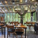 솔잎이슬 이미지