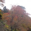 야마가타 릿샤쿠지3 - 곤폰주도를 지나 계단을 올라 산 정상에! 이미지