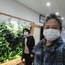 정원플랜 Daum카페