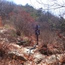 정상(대구)