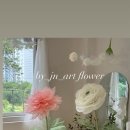 법인두그린