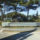 광주 근교 오토 캠핑장 추천/ 곡성 자연애품 캠핑장 C4 데크1박2일 후기