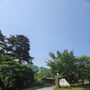 가족호텔 금님동 | 전북 무주 덕유산 리조트 스키장 가족호텔 금님동 - 리모델링 복층 방구조 룸상태 화장실 부엌 거실...