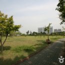 몽마르뜨 이미지