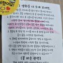 생화농장직송꽃후기 셀프꽃꽂이방법