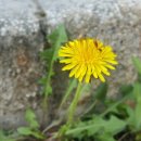 다시,봄 이미지