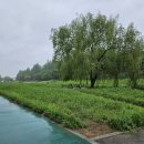 마방로10길 54-11 이미지