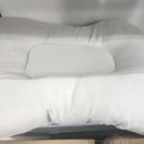 사계절 애견 켄넬 이미지