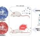 중앙실험동물(주) 이미지