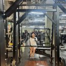 W 짐 | 빅스짐 부산용호 W스퀘어점 하체 PT 후기 | 스쿼트 안되던 이유 (황현우 트레이너)