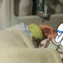 더플레이샵 이미지