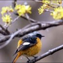 그곳에가고싶다 이미지