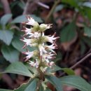 소호초등학교 이미지