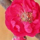 마룡농장 이미지