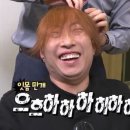 김장용 종합격투기 이미지