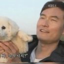 삐까뻔쩍 - 창원시 진해구 풍호로63번길 28 | 삐까뻔쩍