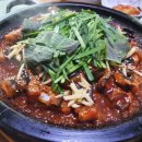 금강민물장어 이미지