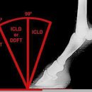 기형목장 이미지