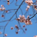 금곡사(외) 이미지