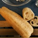 세븐 독 이미지