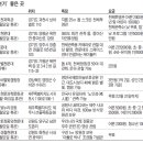 별빛잔치