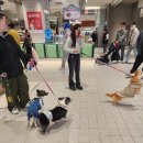 오렌즈 스타필드수원점 | 스타필드 수원점 방문후기