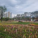 보강천4 이미지