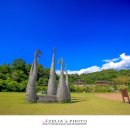 사랑나무유통 - 화순군 | 사랑나무유통