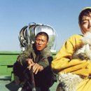 플란다스의개 이미지