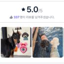 파주힐링몽 이미지