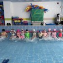 생존수영) 킥판 🏊🏻 이미지
