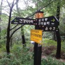양지약수터 Daum카페