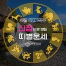 (주)스타사주