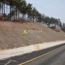 충남 계룡시 엄사면 향한리 / 임야 야산, 전원주택용지 빌라용지 다세대주택용지 단독주택용지 다가구주택용지 대형할인마트용지 가든용지 / 이미지