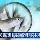 국립수산물품질검사원 이미지