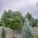 학산스테이 이미지